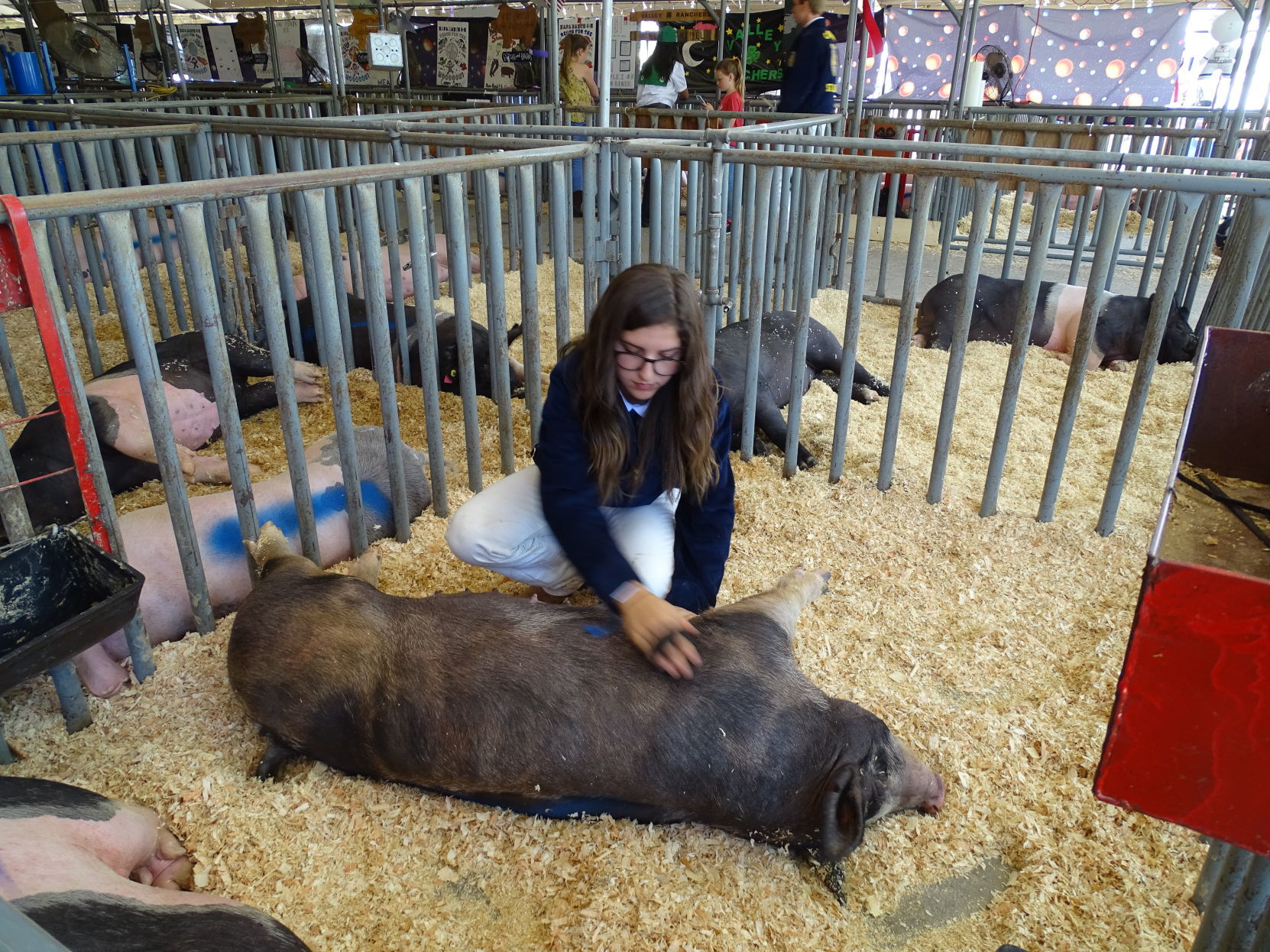 Junior Livestock Auction 2019